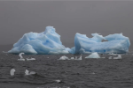 Así es la fuerza del universo capaz de mover más agua que todos los ríos del planeta juntos: el caso de la Antártida