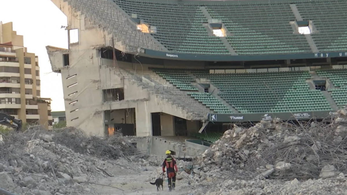  Los Bomberos de Sevilla entrenan en el Villamarín con su Unidad Canina 