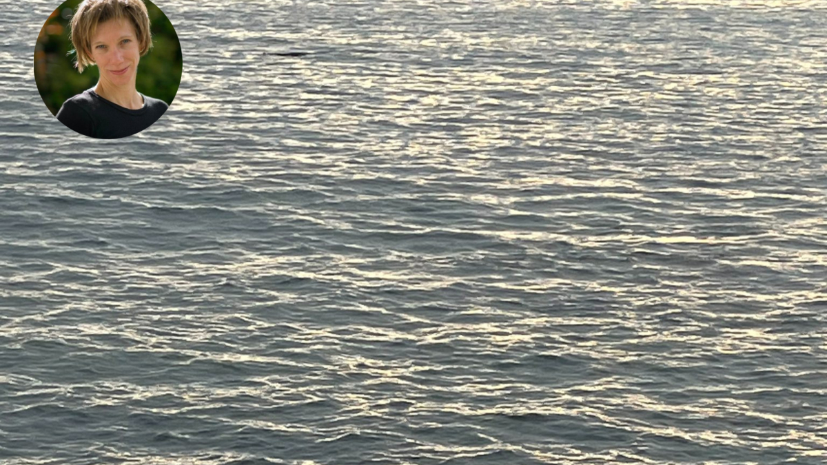 Encuentran el cuerpo de la triatleta desaparecida tras sufrir el ataque de un tiburón