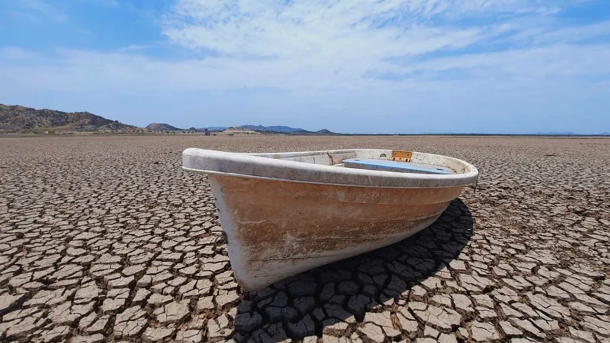 ¿El peor en 100 años? Alerta en Colombia por la llegada de un Fenómeno de El Niño histórico