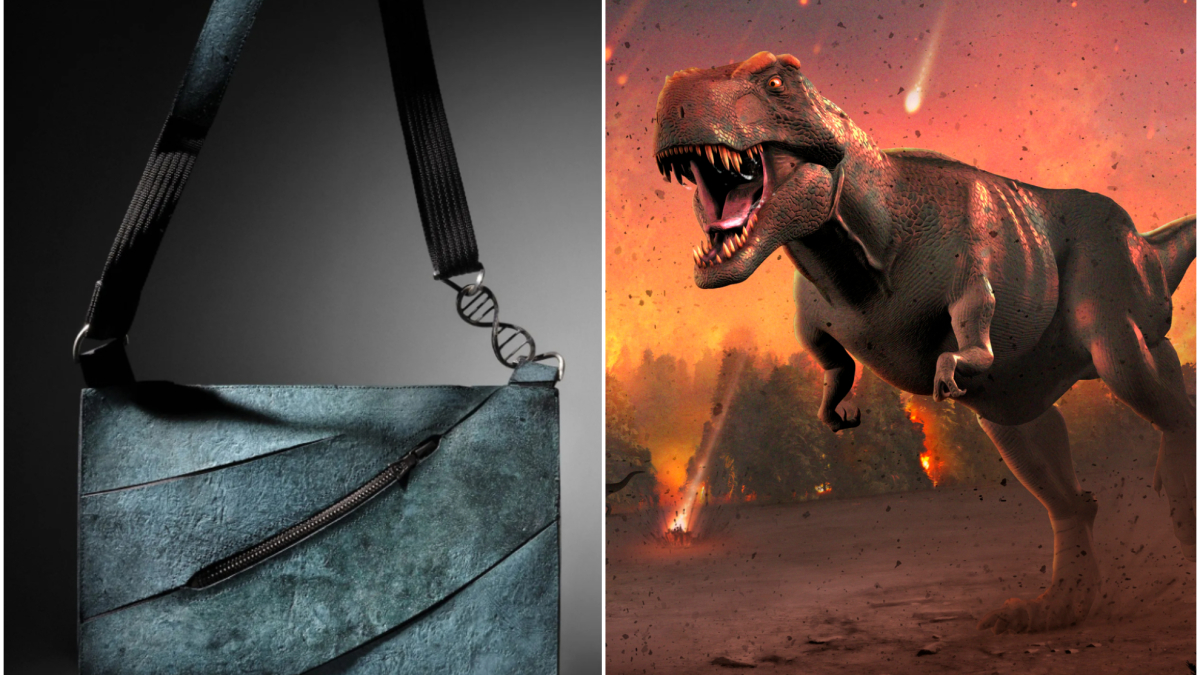 Subastan un bolso de piel de T-Rex por 500.000 euros: la cie