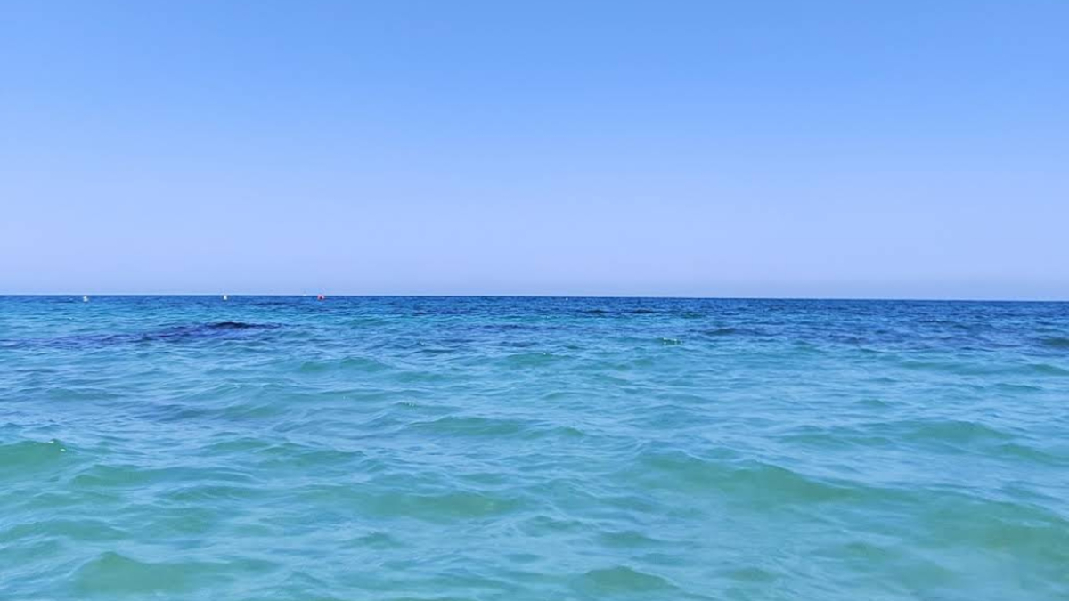 La NOAA alerta al Mediterráneo: los efectos de una "ola de calor marina excepcional"