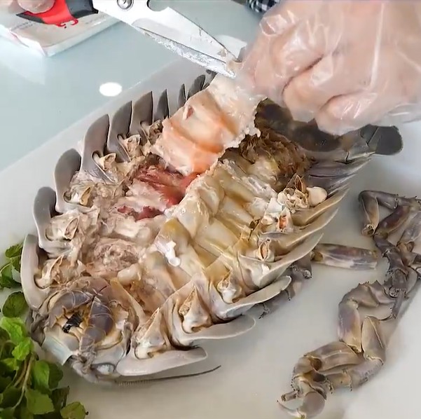 El isópodo profundo de mar