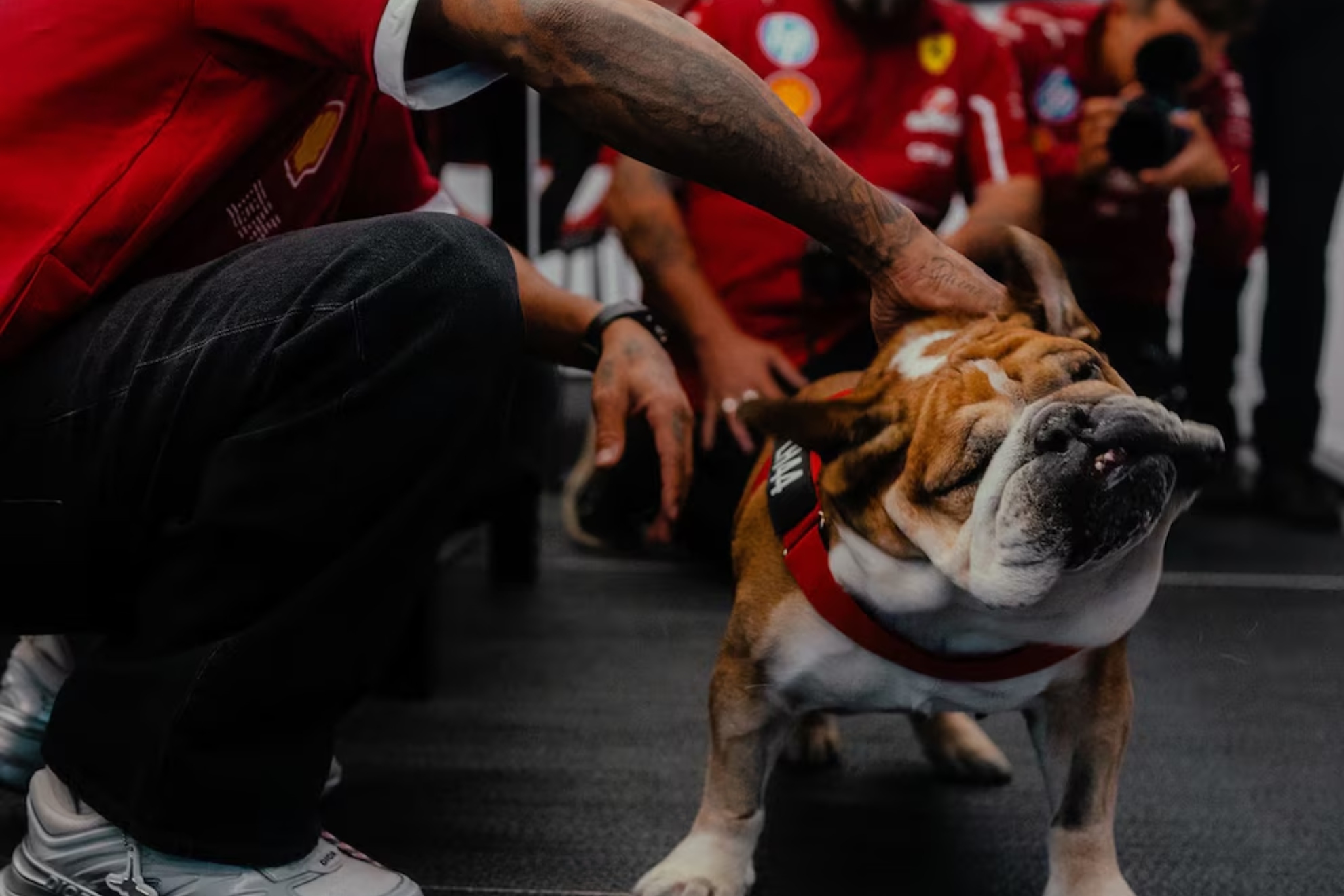 Hamilton y su mascota.